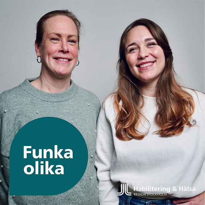 Sociala företag, arbetsträning och vägen tillbaka